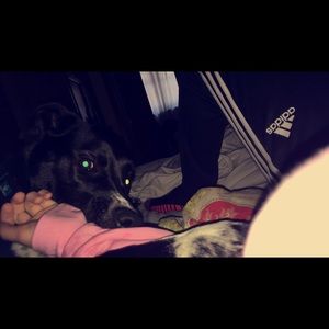 Meet your Posher, Lydia